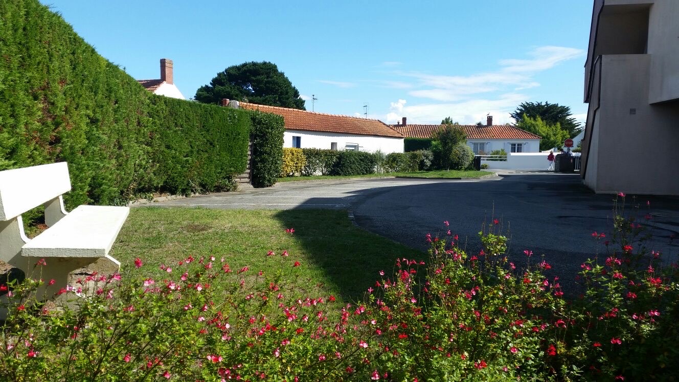 Lawns and gardens within the residence