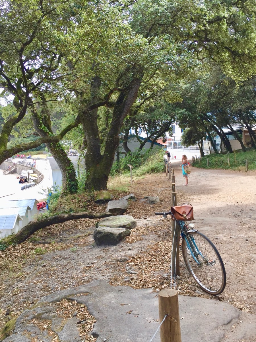 A bicycle propped by the path through the Bois de la Chaize, near Plages des Dames