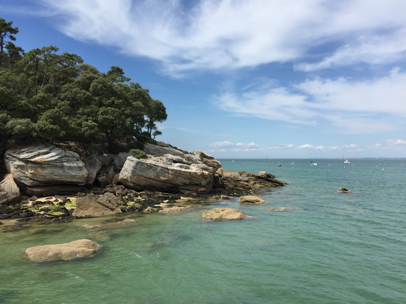 Rocks and pines at the Bois de la Chaize
