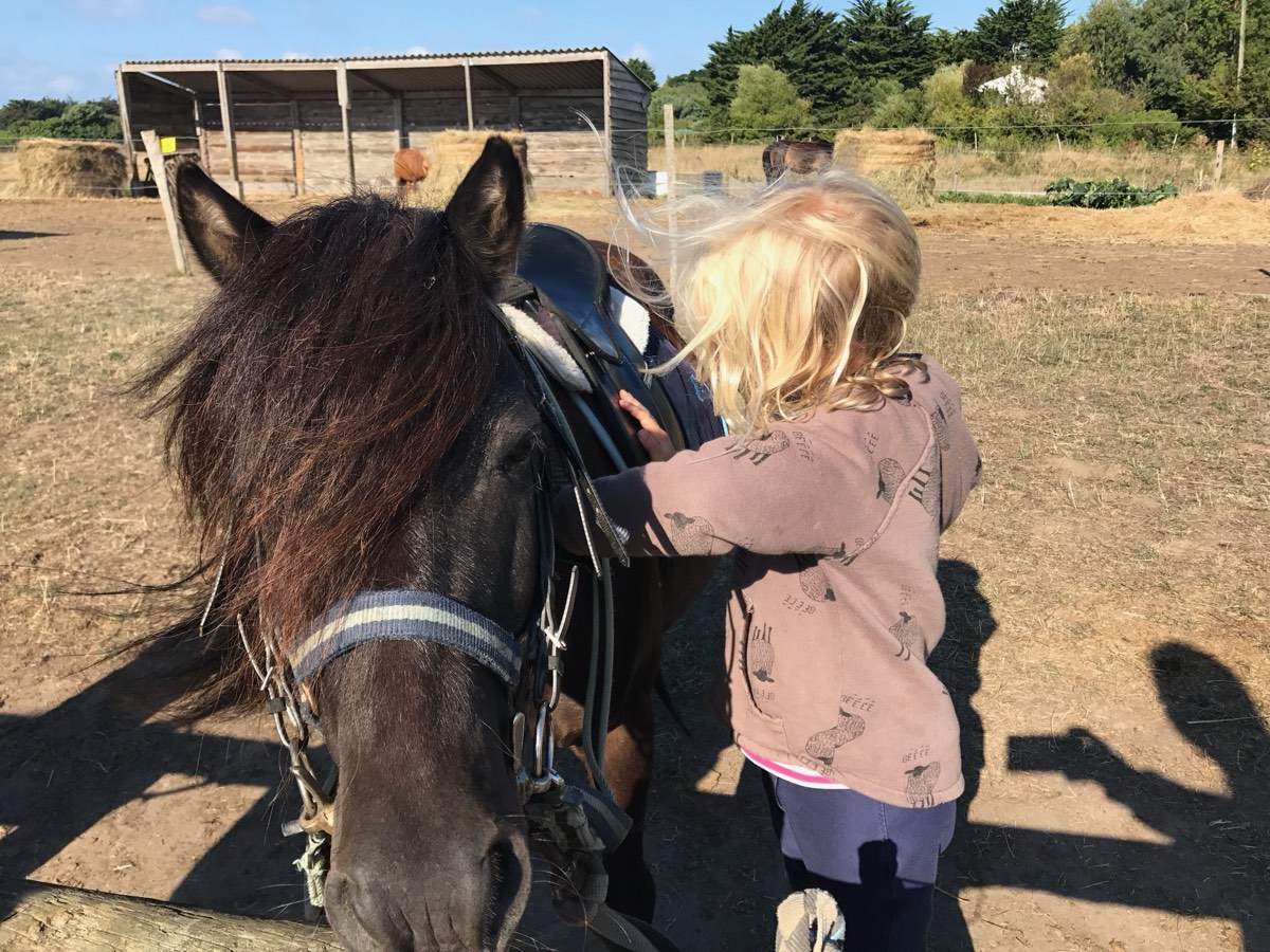 Horse riding on the island