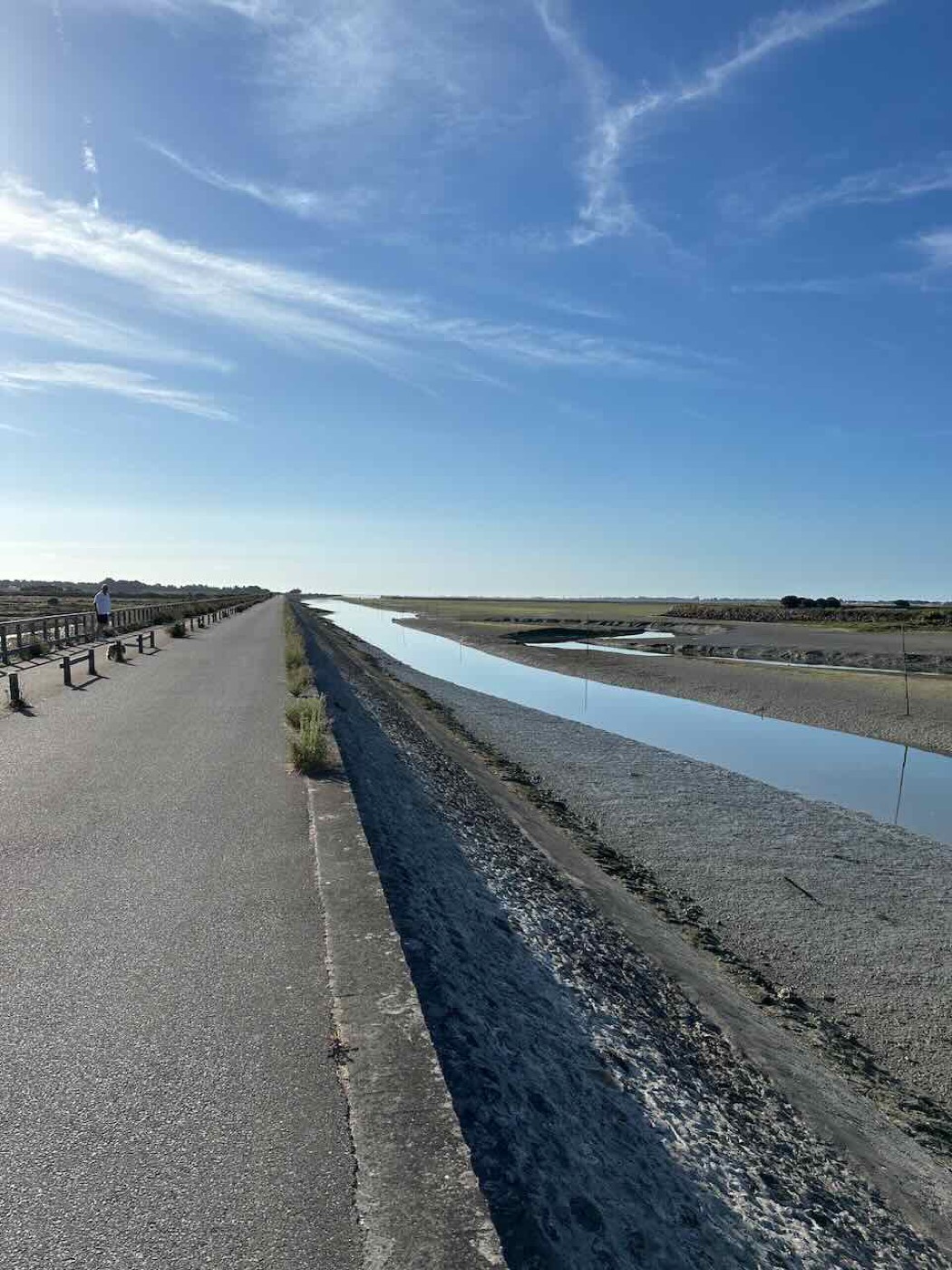 A cycle path along the salt-marsh dykes