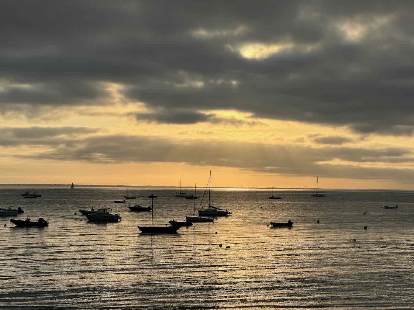 Golden evening light over moored boats
